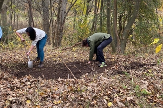 Two people planting bulbs in woodland