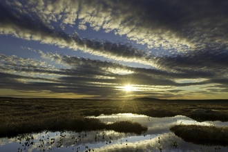 Peatland at sunset with water pools in foreground