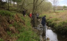Volunteers surveying water voles in stream